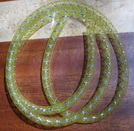 streamer body D 9 olive